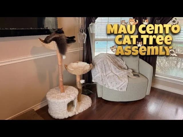 A cat perched on top of the white Mau Cento cat tree